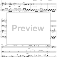 Piano Trio in G Major, HobXV/15 - Piano Score