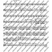 2. Concerto in C - Viola