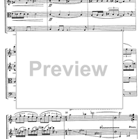Petit quartet de corda (Little string quartet) - Score