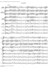 Brandenburg Concerto No. 4: Andante - Score