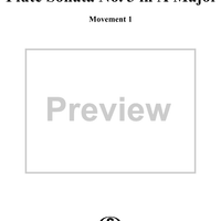 Flute Sonata No. 3, Movement 1