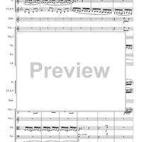 The Flight of the Bumblebee from the opera "Tsar Sultan" - Score
