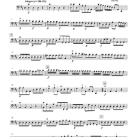 Allegro from Concerto in D Major - Violoncello
