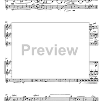 Volo Vienna - Parigi - N.Y.