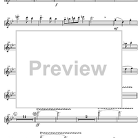 Concertino - Piccolo