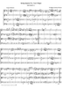 String Quartet No. 3, Movement 3 - Score