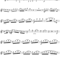 Flute Concerto in G Major, Allegro vivace - Flute