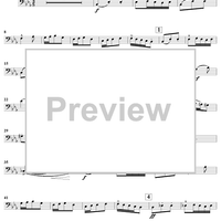 Le carnaval des animaux - Bass