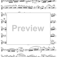 Grand Duo in D Major, Op. 39, No. 3 - Flute 1