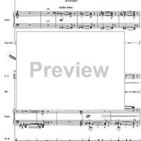 Sylvie et le paon - Score