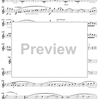 Sounds from the Hudson - Cornet