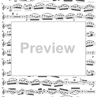 "Die Liebe zieht mit sanften Schritten", Aria, No. 2 from Cantata No. 36/1: "Schwingt freudig euch empor" - Oboe d'amore
