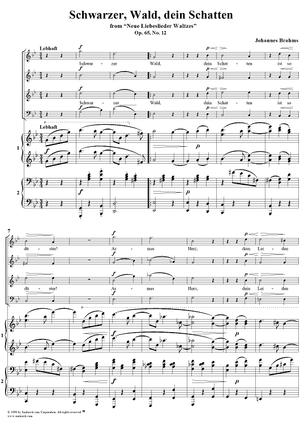 Schwarzer, Wald, dein Schatten - No. 12 from "Neue Liebeslieder Waltzes"  Op. 65