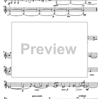 Godalni Quartet - Violin 2