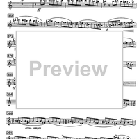 Shoshanna - B-flat Soprano Saxophone