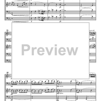 Serenata in vano - Score