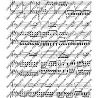 Fantasia appassionata in G minor