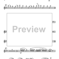 A Day in the Park - Flute