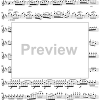 Violin Duets, Op. 71 - Violin 1