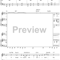 They Couldn't Compare to You