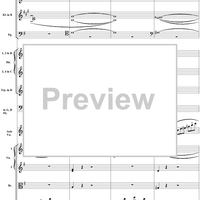 Violin Concerto No. 1, Movement 3 - Score