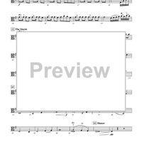 A Pirate's Legend - Viola