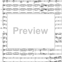Brandenburg Concerto No. 3: Movement 1 - Score