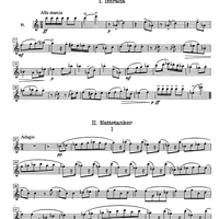 Fra en Skissebok - Flute