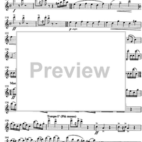 Jarní Hudba (Spring music) - Flute