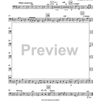 You Must Believe in Spring - Double Bass