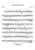 Contrapunctus IX - Tuba 2