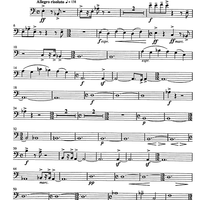 Jarní Hudba - Double Bass