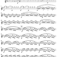 Grand Duo in E Minor, Op. 39, No. 1 - Flute 1