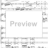 Mass No. 13 in B-flat Major: No. 5, Benedictus