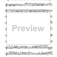 Double Concerto for Recorder and Flute in E minor - Flauto Dolce (Recorder)