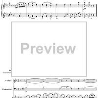 Twenty five Irische Lieder