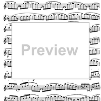 Preliminary studies to 'The Accomplished Clarinettist' Vol. 2 - Clarinet