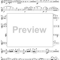 Quintet in C Minor - Flute