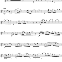 Flute Concerto in G Major, Allegro - Flute