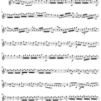 Violin Concerto in G Major    - from "L'Estro Armonico" - Op. 3/3  (RV310) - Violin 2