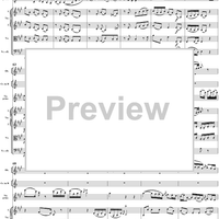 Violin Concerto No. 4 - Full Score