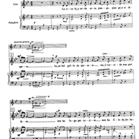 La cicala a tarda sera