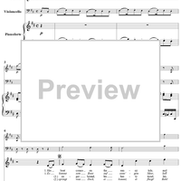 Twenty five Irische Lieder