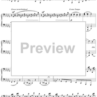 Impromptu No. 6 in B-flat Minor/Major