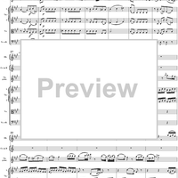 Violin Concerto No. 4 - Full Score