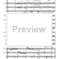 Royal Fireworks Suite - Score