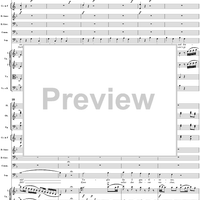 "Notte e giorno faticar", No. 1 from "Don Giovanni", Act 1, K527 - Full Score