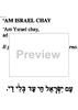 Am Ysrael chay