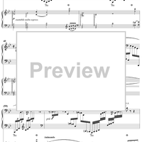 Concert Fantasy. Part 2. Contrastes