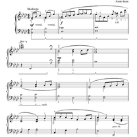 Wings Of The Rainbow